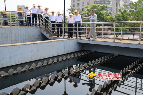 南昌加速推进污水处理提标升级 李红军实地调研朝阳、象湖两厂