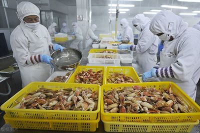 水产品加工废水治理 两种高效工艺应对每日300吨不达标排放